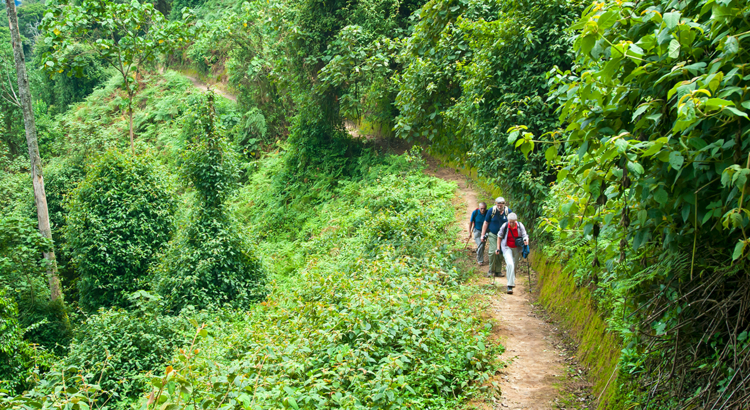 Ruanda Nyungwe Nationalpark Wanderer Foto iStock Günterguni
